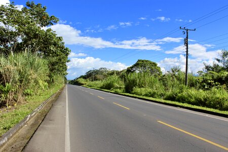 Travel forest jungle