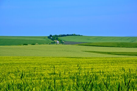 Summer blue sky sun photo