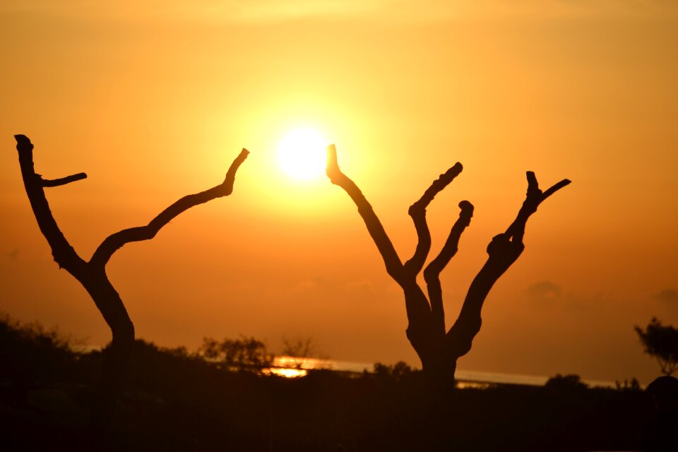 Backlit outdoor sun