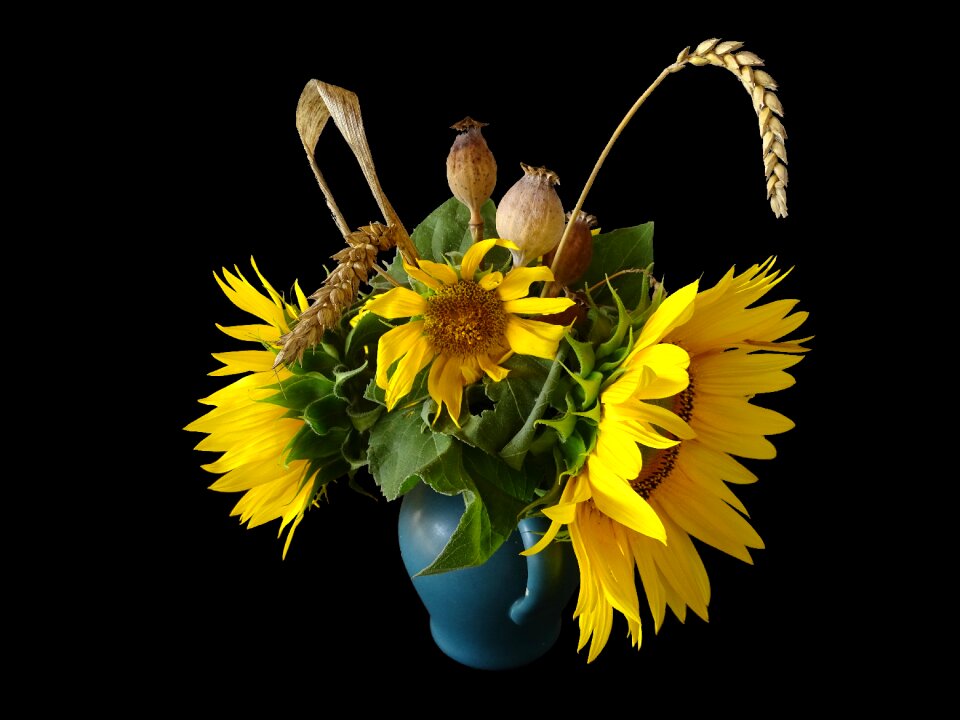 Flower of sunflower flowers nature