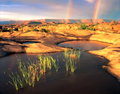 Pothole Point (Needles District) (7167147222) photo