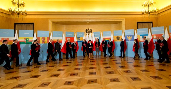 Powołanie wojewodów (23605778775)