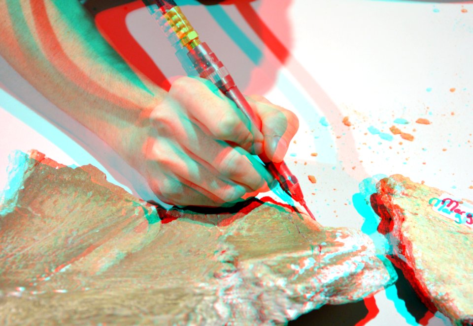 Preparation Skull Triceratops Naturalis 3D (16722877931)