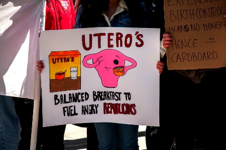 Pro-Choice Rally and Press Conference Chicago Illinois 3-4-20 5583 (49621224901)