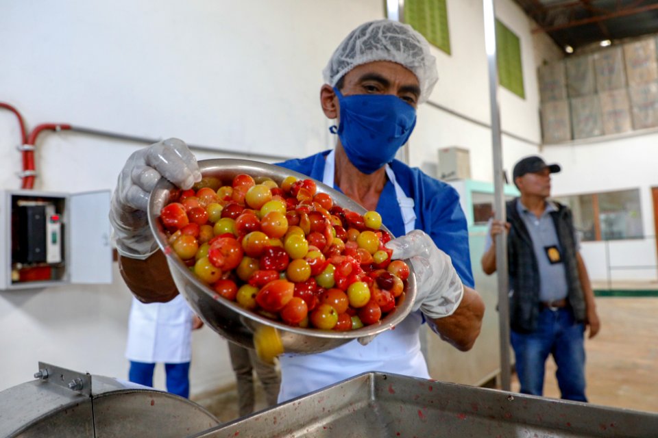 PRODUCE Proyecto de modernización del DPA “La Punchana” en Iquitos se iniciará el próximo año (30358710178)