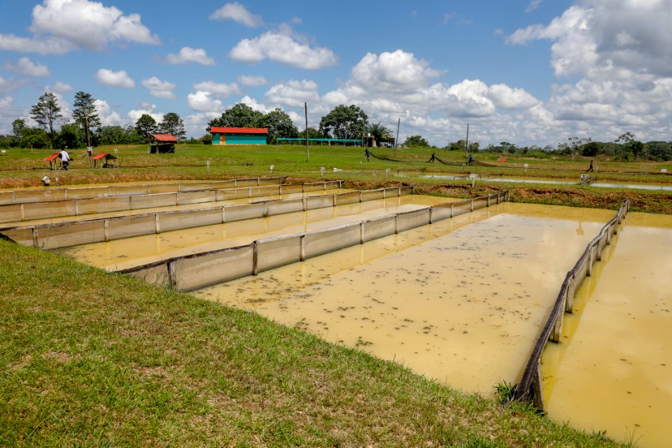 PRODUCE Proyecto de modernización del DPA “La Punchana” en Iquitos se iniciará el próximo año (43320551045)