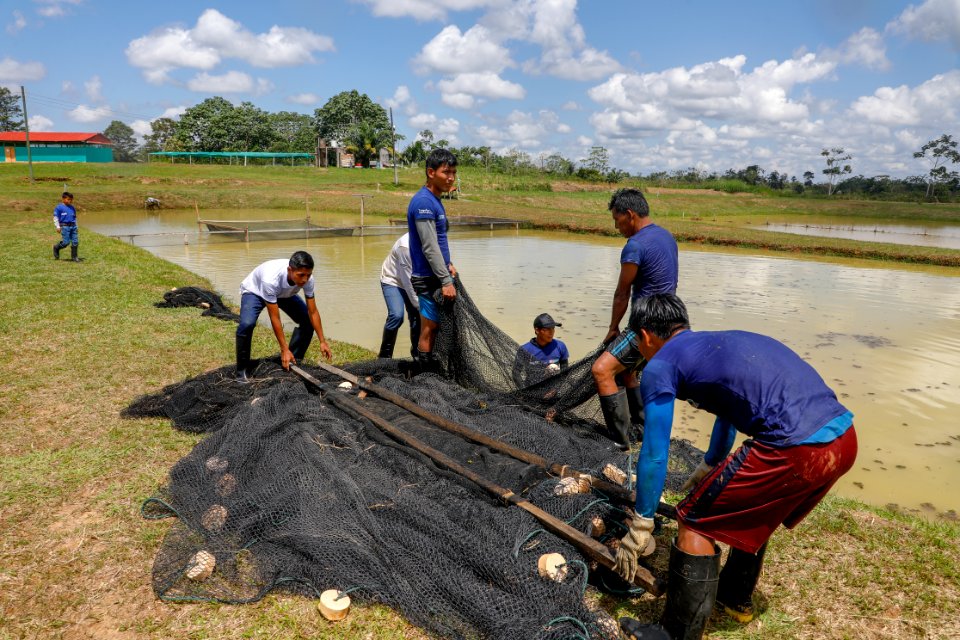 PRODUCE Proyecto de modernización del DPA “La Punchana” en Iquitos se iniciará el próximo año (43508760854)