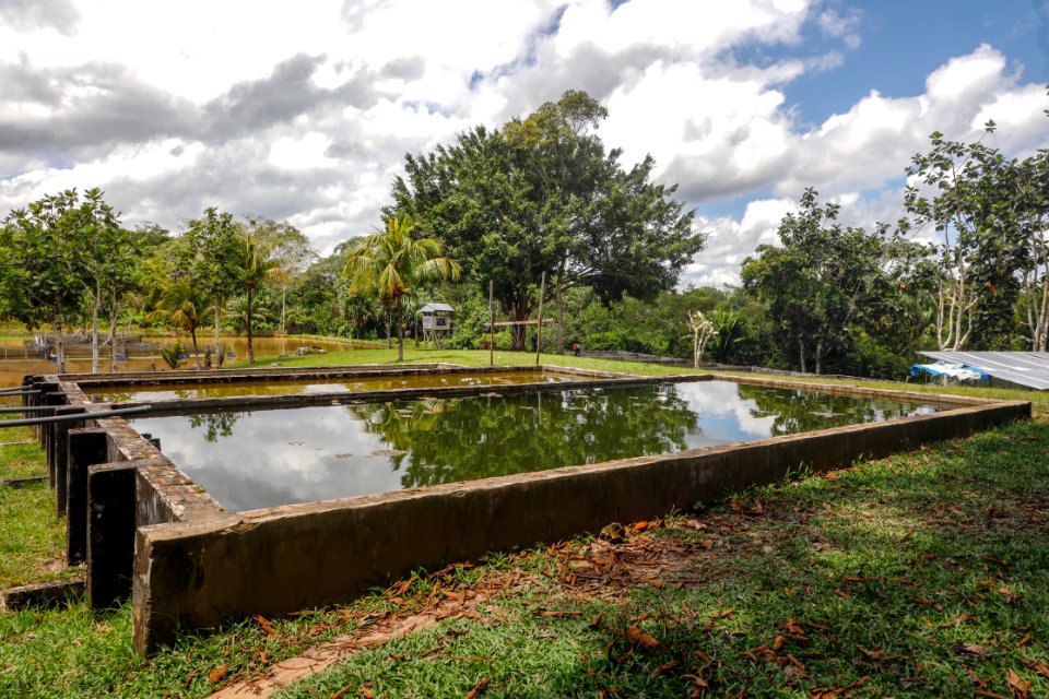 PRODUCE Proyecto de modernización del DPA “La Punchana” en Iquitos se iniciará el próximo año (42418564580)