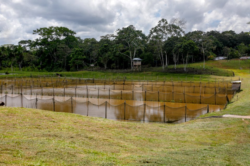 PRODUCE Proyecto de modernización del DPA “La Punchana” en Iquitos se iniciará el próximo año (44177821922)