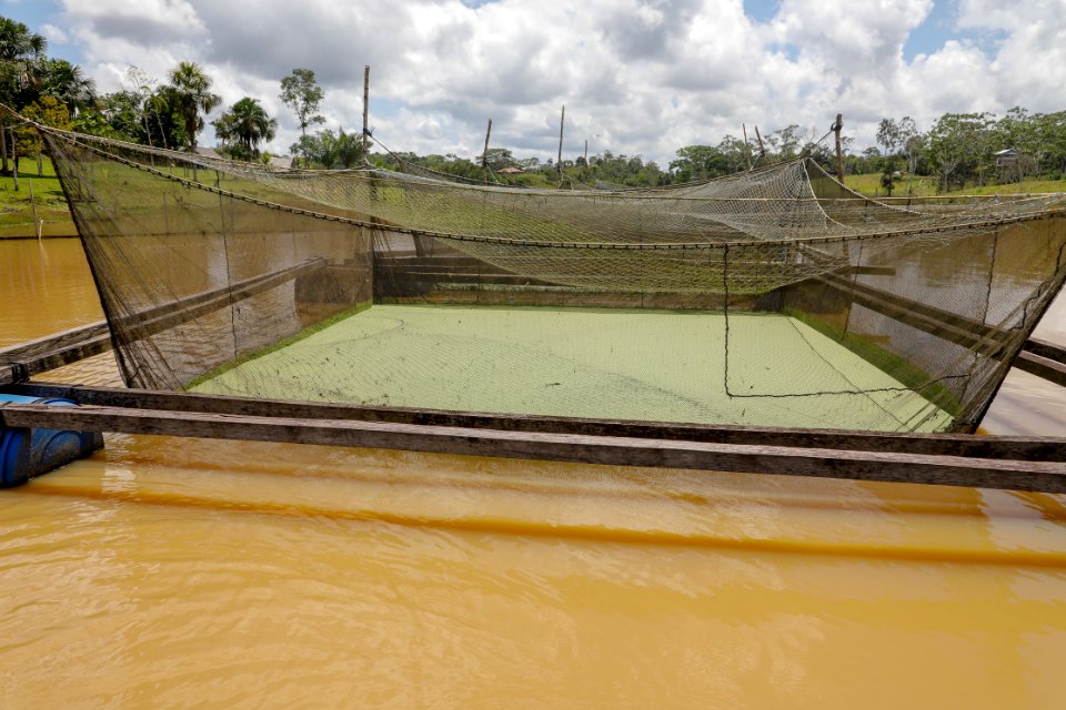 PRODUCE Proyecto de modernización del DPA “La Punchana” en Iquitos se iniciará el próximo año (44177838172)