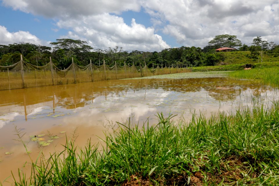 PRODUCE Proyecto de modernización del DPA “La Punchana” en Iquitos se iniciará el próximo año (42418569230)
