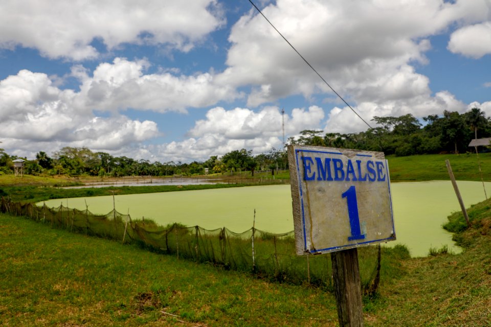 PRODUCE Proyecto de modernización del DPA “La Punchana” en Iquitos se iniciará el próximo año (42418586970)