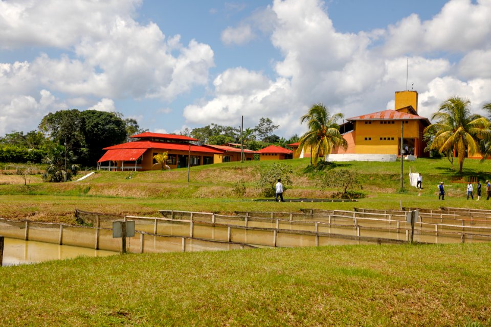 PRODUCE Proyecto de modernización del DPA “La Punchana” en Iquitos se iniciará el próximo año (42418591880)