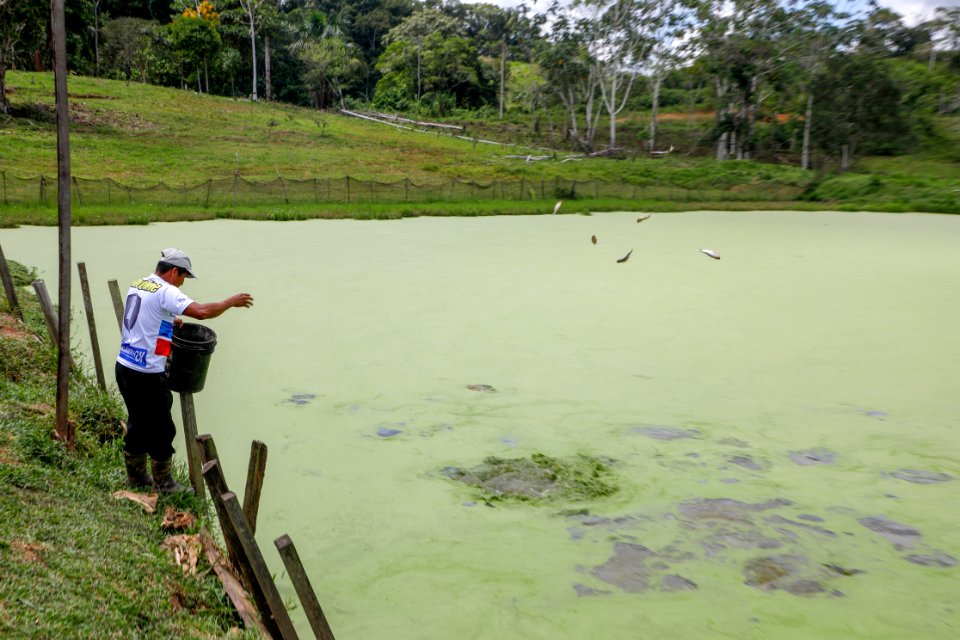 PRODUCE Proyecto de modernización del DPA “La Punchana” en Iquitos se iniciará el próximo año (44226483421)