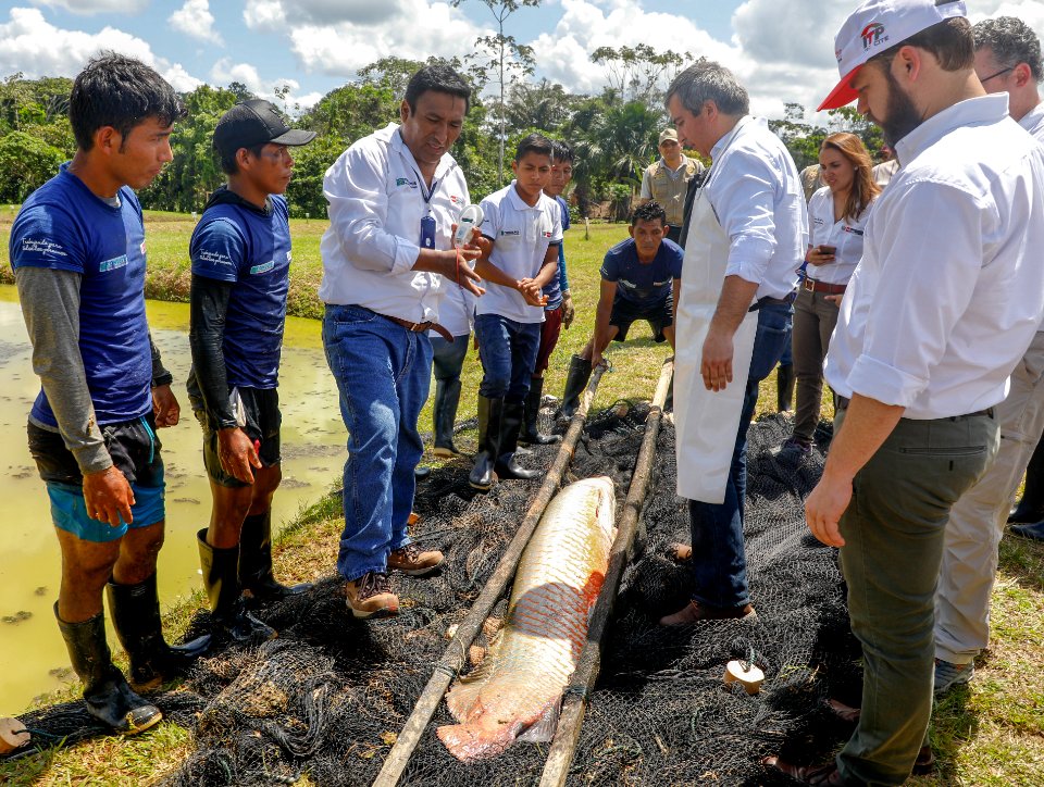 PRODUCE Proyecto de modernización del DPA “La Punchana” en Iquitos se iniciará el próximo año (44226503711)