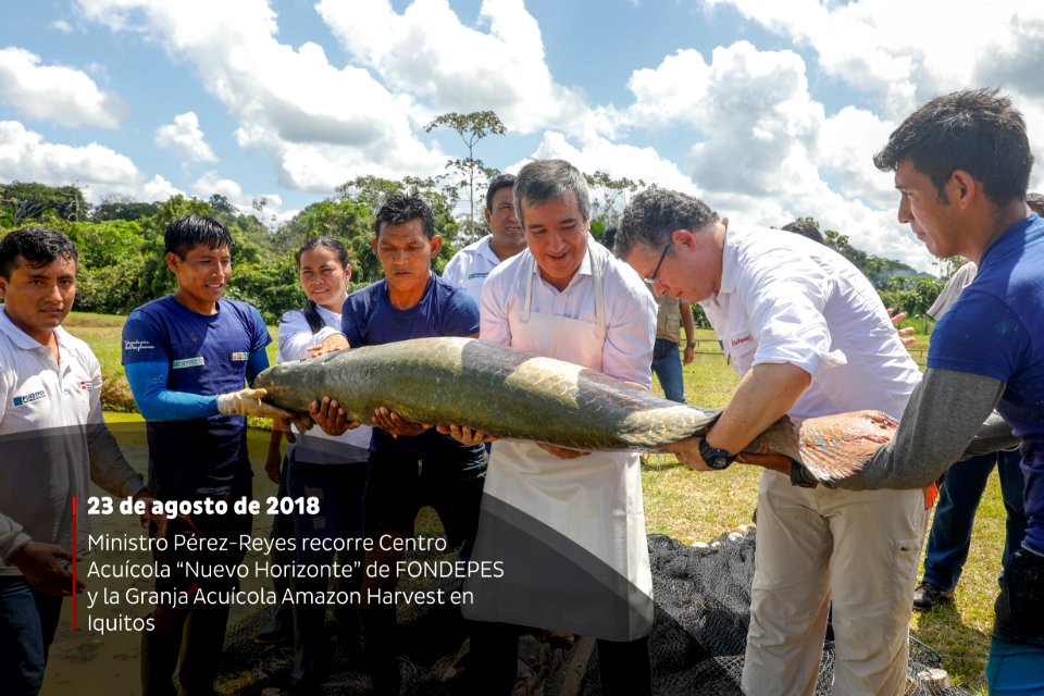 PRODUCE Proyecto de modernización del DPA “La Punchana” en Iquitos se iniciará el próximo año (44177829902)