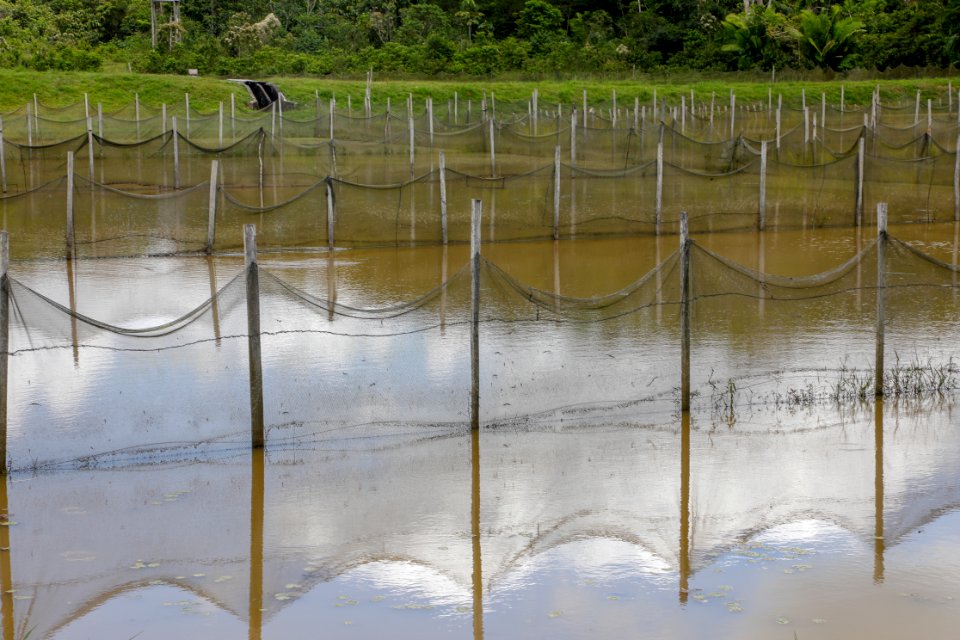PRODUCE Proyecto de modernización del DPA “La Punchana” en Iquitos se iniciará el próximo año (44226505031)