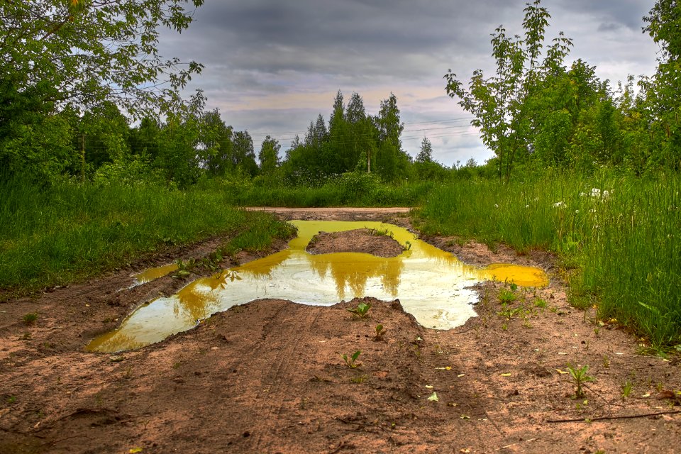 Puddle (34510204864)