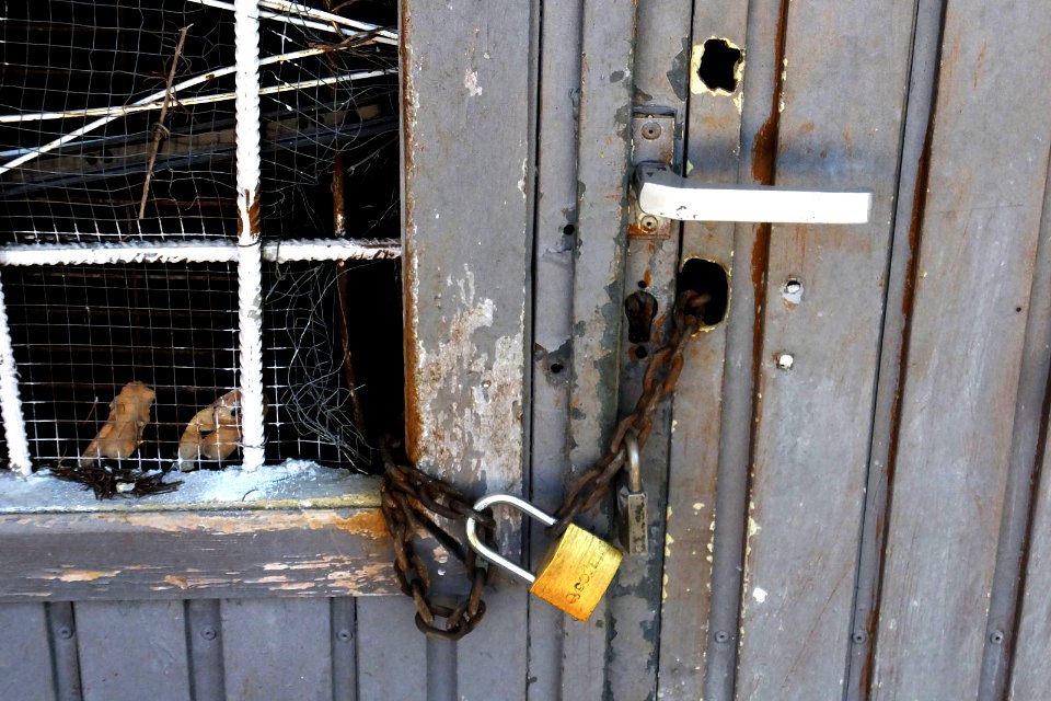Puerta (14173976870)