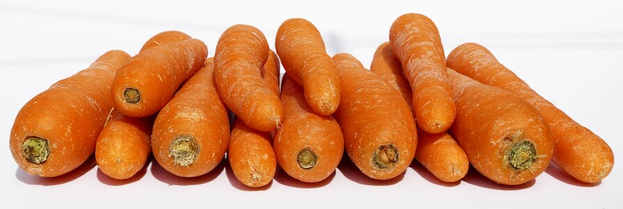 Yellow beet mario daucus carota