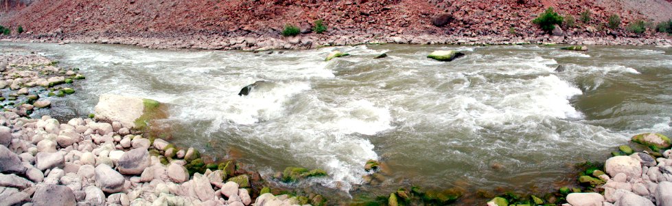 Rapid 20 (7166853644)