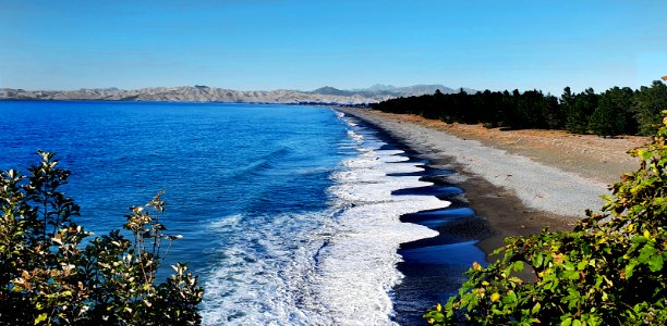 Rarangi beach Marlborough NZ (51583281775)