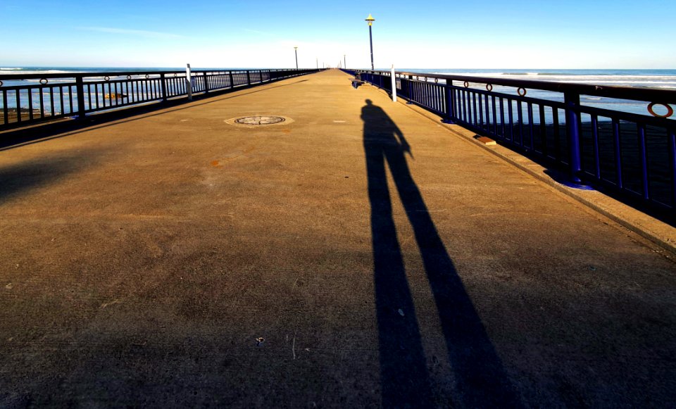 Reaching shadows. (50906304628)