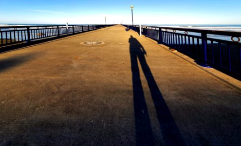 Reaching shadows. (50906304628)