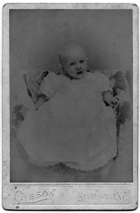 Red Cloth Horseshoe Photo Album (51359482201)