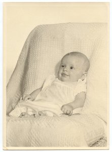 Red Cloth Horseshoe Photo Album (51360484775)