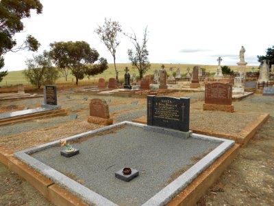 Redhill Catholic Cemetery (25901458788)
