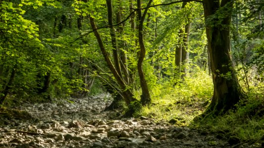 River Alyn, Rhydymwyn area, N Wales, UK, 2021. (51309053018)
