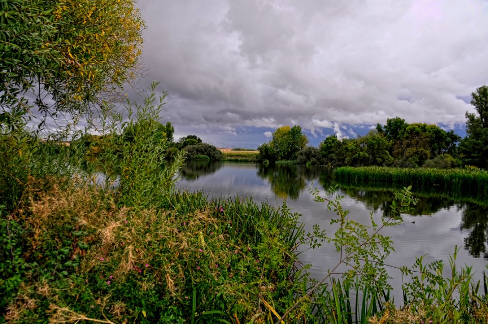Rio Tormes (29716455864)