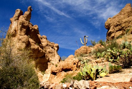 Rock Formations and Cactus (24548180677)