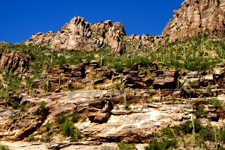 Rock Wall (38515382855)