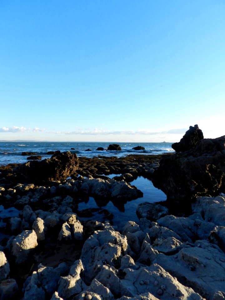 Rocky formations near the beach of Paço de Arcos (32398460127)