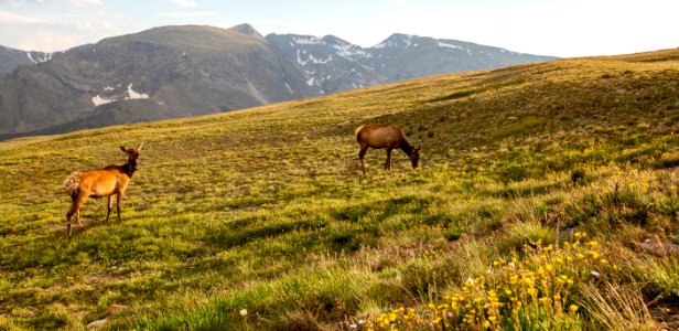 Rocky Mountain National Park (50185356711)