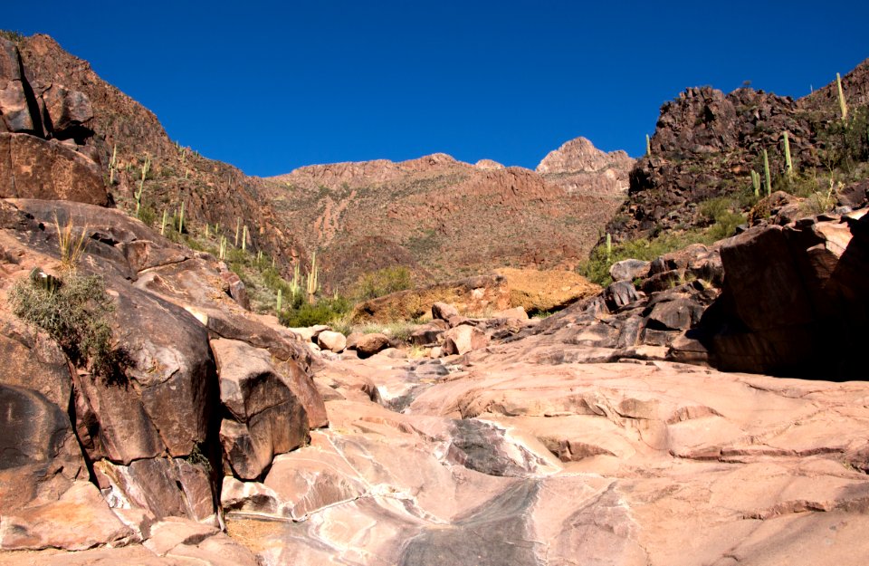 Rocky Wash in Canyon (8273989356)