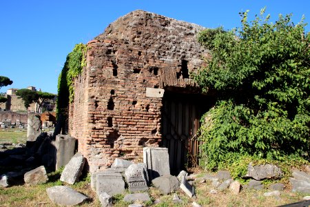 Roman Forum (Forum Romanum) (48416746747)