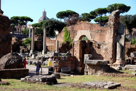Roman Forum (Forum Romanum) (48416861536)