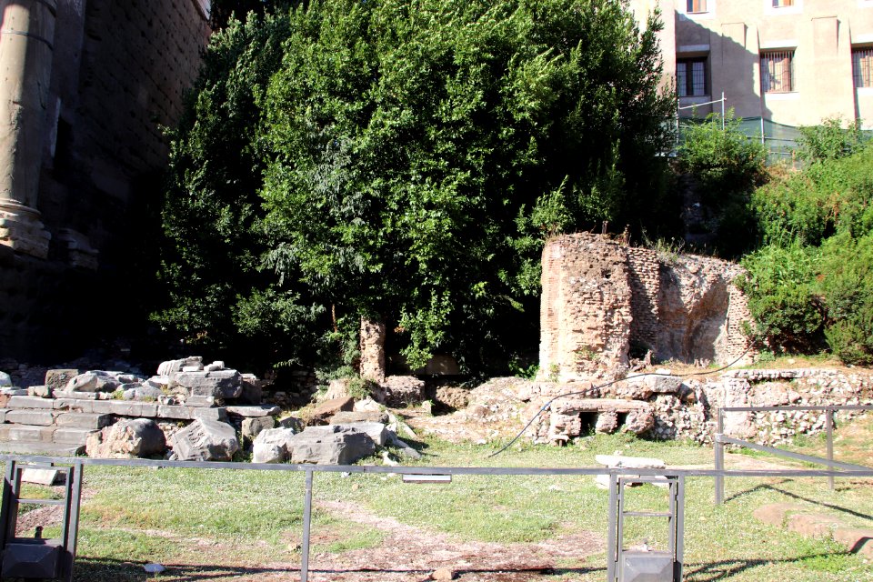 Roman Forum (Forum Romanum) (48417021297)
