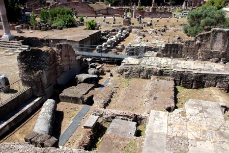 Roman Forum (Forum Romanum) (48423393871)