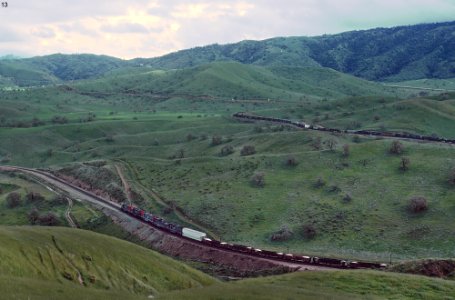 Roger Puta Was in the Tehachapis in March 1983 (32275369094)