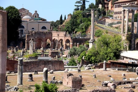 Roman Forum (Forum Romanum) (48423544302)