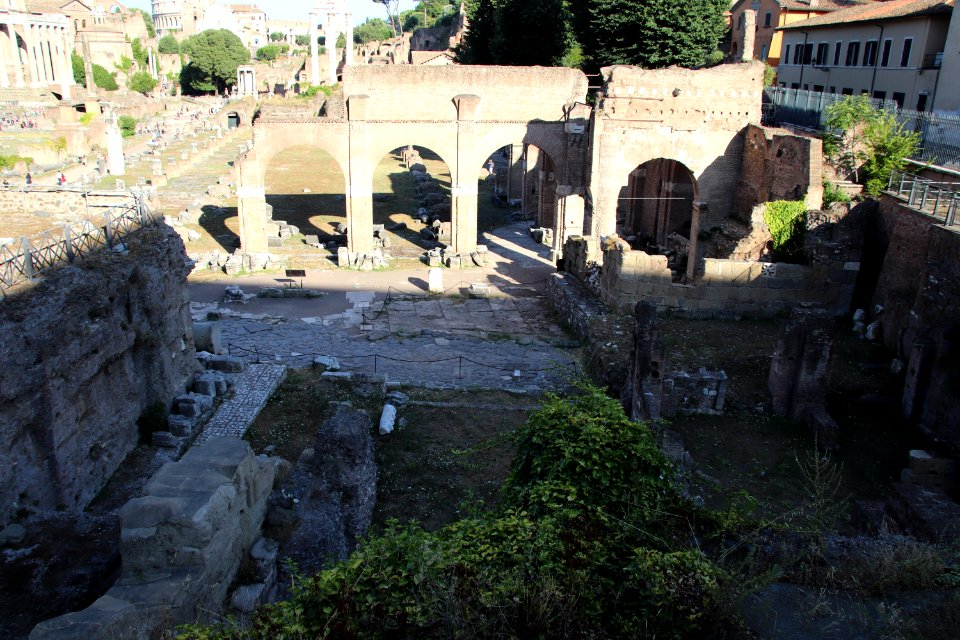 Roman Forum (Forum Romanum) (48416664227)