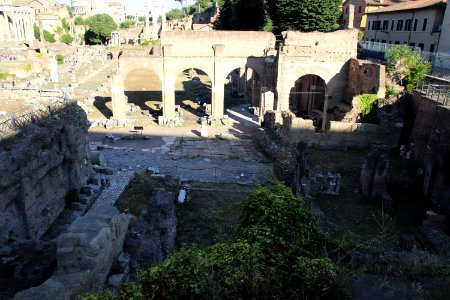 Roman Forum (Forum Romanum) (48416664227)