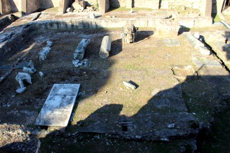 Roman Forum (Forum Romanum) (48487029856)