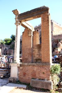 Roman Forum (Forum Romanum) (48416825932)