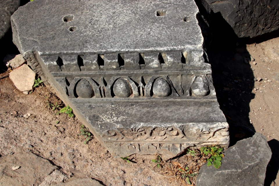 Roman Forum (Forum Romanum) (48416877661)