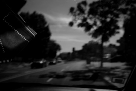 Rolling (51616333009)